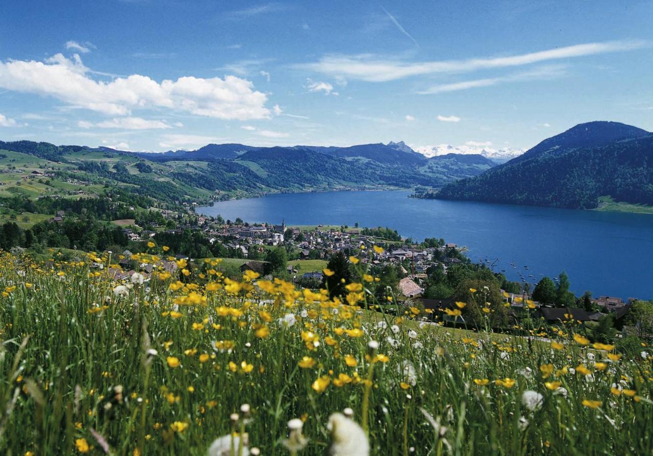 Seminarhotel Am Aegerisee Unterageri Екстер'єр фото