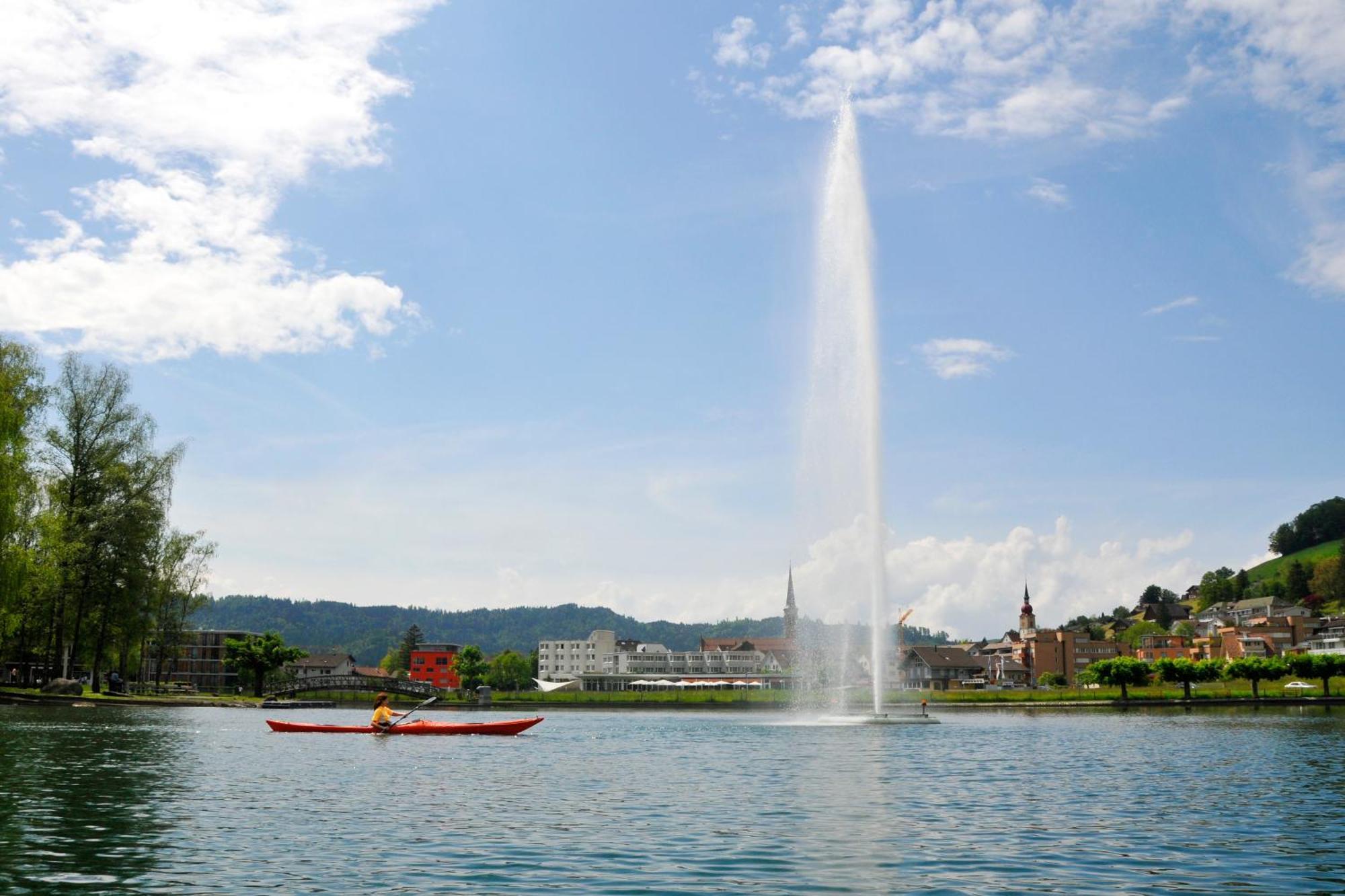 Seminarhotel Am Aegerisee Unterageri Екстер'єр фото