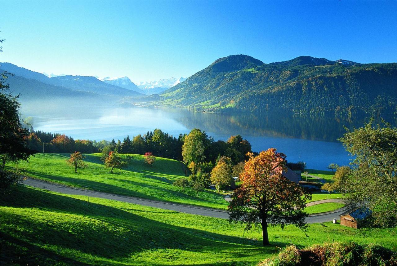 Seminarhotel Am Aegerisee Unterageri Екстер'єр фото